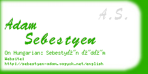 adam sebestyen business card